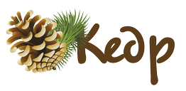 ООО «УК Кедр»